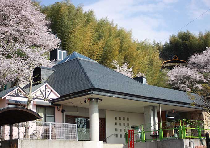 学校法人大護学園 認定こども園大護幼稚園 様